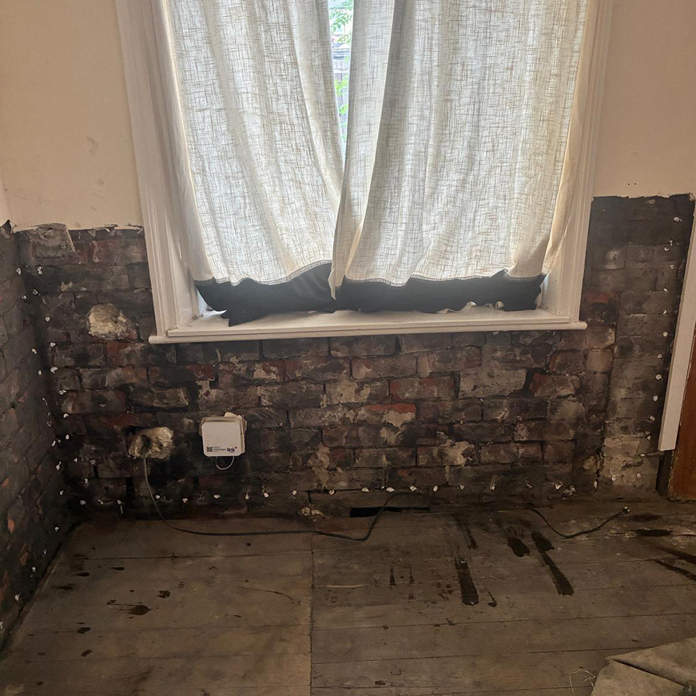 Window bay during treatment — plaster removed exposing damp brickwork